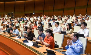 Không mở rộng trợ giúp pháp lý sang lĩnh vực kinh doanh, thương mại