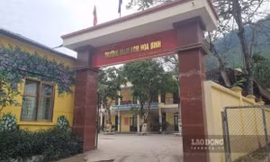 Tạm đình chỉ hiệu trưởng trong vụ lọt thịt lợn nhiễm bệnh vào trường mầm non