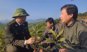 Nâng "chất" nguồn nhân lực