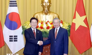 Tổng Bí thư, Chủ tịch nước Tô Lâm hội đàm với Tổng thống Hàn Quốc Lee Jae Myung