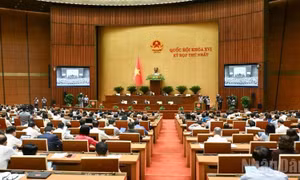 Thông cáo báo chí số 11, Kỳ họp thứ nhất, Quốc hội khóa XVI