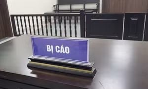 Lừa đảo mang thai hộ để chiếm đoạt tiền tỉ của 3 cặp vợ chồng