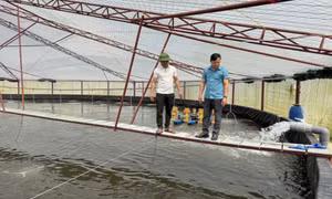 Hải Lạng: Khơi dậy tiềm năng, lợi thế trong nông nghiệp