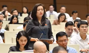 Nghiên cứu mở rộng đối tượng được trợ giúp pháp lý