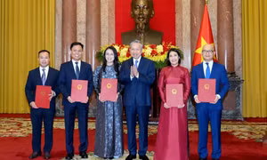 Tổng Bí thư, Chủ tịch nước Tô Lâm trao quyết định bổ nhiệm 5 Đại sứ Việt Nam tại nước ngoài
