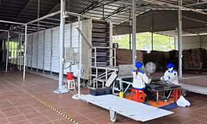 Thúc đẩy tinh thần đổi mới sáng tạo