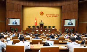 Thông cáo báo chí số 13, Kỳ họp thứ nhất, Quốc hội khóa XVI