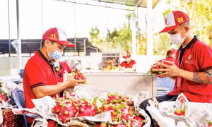 Thích ứng để đẩy mạnh xuất khẩu thị trường Halal