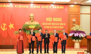 Công bố Quyết định của Bộ Chính trị về công tác tổ chức và cán bộ