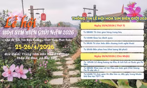 Lễ hội Hoa sim biên giới năm 2026 sẽ được tổ chức vào ngày 25, 26/4 tại xã Hải Sơn