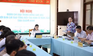 Đoàn chỉ đạo Tổng điều tra kinh tế năm 2026 Trung ương làm việc với tỉnh Quảng Ninh
