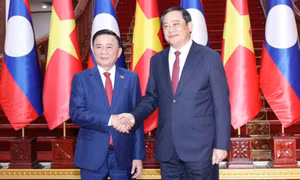 Thường trực Ban Bí thư Trần Cẩm Tú hội kiến Thủ tướng Lào