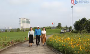 Nhân rộng phong trào “Vườn hoa Công đoàn - Doanh nghiệp xanh - sạch - đẹp”