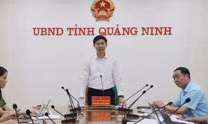UBND tỉnh: Nghe báo cáo tiến độ thực hiện việc xây dựng đồng bộ cơ sở dữ liệu đất đai