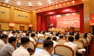 Phấn đấu hoàn thành toàn diện chỉ tiêu, nhiệm vụ quý II và cả năm 2026