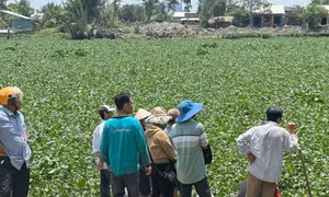 Tìm thấy thi thể hai cháu bé đuối nước trên sông Vàm Cỏ Tây sau hai ngày