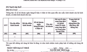 Hộ kinh doanh mới, doanh thu dưới 500 triệu không phải báo tài khoản trước 20/4