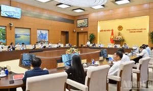 Tập trung chỉ đạo giải quyết dứt điểm các kiến nghị cử tri còn tồn đọng