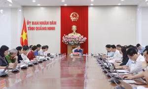 Sắp xếp bộ máy hoạt động hiệu quả tạo nền tảng vững chắc cho quá trình đổi mới, phát triển bền vững