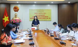 Thẩm tra các dự thảo nghị quyết thuộc lĩnh vực pháp chế trình Kỳ họp thứ 2, HĐND tỉnh