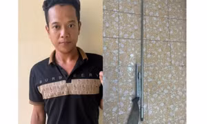 Lên mạng mua súng để bắn chim, người đàn ông bị đề nghị truy tố