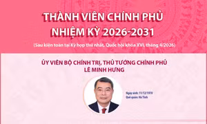 Thành viên Chính phủ nhiệm kỳ 2026-2031