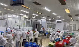 Lợi thế lớn, thách thức không nhỏ