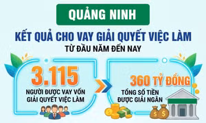 3.115 - là số người trên toàn tỉnh đã được vay vốn giải quyết việc làm từ đầu năm đến nay