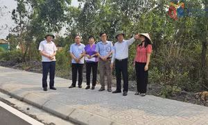 Ủy ban MTTQ tỉnh: Khảo sát hoạt động của Ban Thanh tra nhân dân và Ban Giám sát đầu tư của cộng đồng