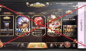 Công an tỉnh Hưng Yên khởi tố 4 đối tượng đánh bạc online