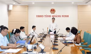 Khẩn trương triển khai các nghị quyết HĐND tỉnh lĩnh vực tài chính, nông - lâm - ngư nghiệp