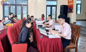 Phát huy vai trò uỷ thác vay vốn của tổ chức chính trị - xã hội