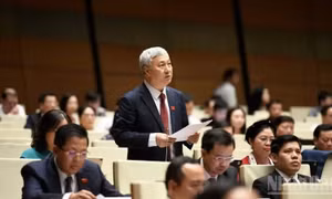 Đại biểu Quốc hội cảnh báo lãng phí từ các dự án kém hiệu quả