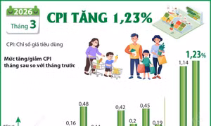 Số liệu thống kê về chỉ số giá tiêu dùng tháng Ba và quý 1