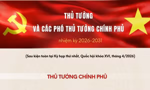 Thủ tướng và các Phó Thủ tướng Chính phủ nhiệm kỳ 2026-2031