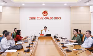 Thủ tướng Phạm Minh Chính chủ trì Hội nghị trực tuyến toàn quốc về công tác phòng, chống thiên tai