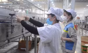 Phê duyệt “Chương trình hỗ trợ nghiên cứu sinh xuất sắc giai đoạn 2026-2030”
