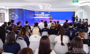 Nhận diện rủi ro và bẫy nghề nghiệp trong ngành blockchain