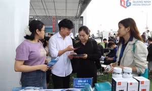 Nhiều cơ hội việc làm cho người lao động