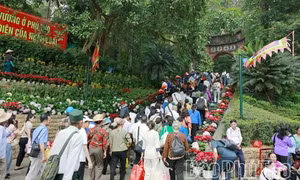 Nghĩa đồng bào sưởi ấm non thiêng Nghĩa Lĩnh