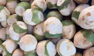 Bổ gan, dưỡng thận với thức uống ngày hè