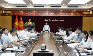 Hội Nông dân các cấp tiếp tục đổi mới mạnh mẽ phương thức hoạt động theo hướng thực chất, hiệu quả