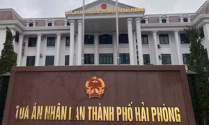 Nguyên Giám đốc Sở Tài nguyên và Môi trường Hải Phòng bị phạt 36 tháng tù treo