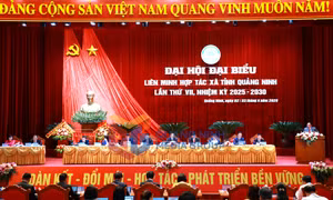 Đại hội Đại biểu Liên minh Hợp tác xã tỉnh Quảng Ninh lần thứ VII, nhiệm kỳ 2025-2030, tháng 4-2026