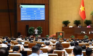 Hoàn thiện Nghị quyết về tranh chấp đầu tư quốc tế: Bảo đảm hợp hiến, tăng tính linh hoạt