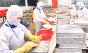 Nỗ lực giữ thị trường nông sản trọng điểm