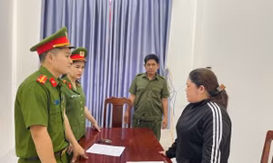 Bắt tạm giam giám đốc doanh nghiệp trốn thuế hơn 739 triệu đồng