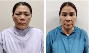 Chủ tịch công ty vàng cáo buộc trốn thuế gây thiệt hại hơn 6 tỉ