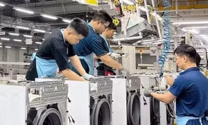 Kinh tế phục hồi, duy trì nhịp tăng trưởng