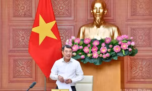Tối đa hóa giá trị sử dụng đất nông nghiệp, khuyến khích doanh nghiệp đầu tư vào nông nghiệp